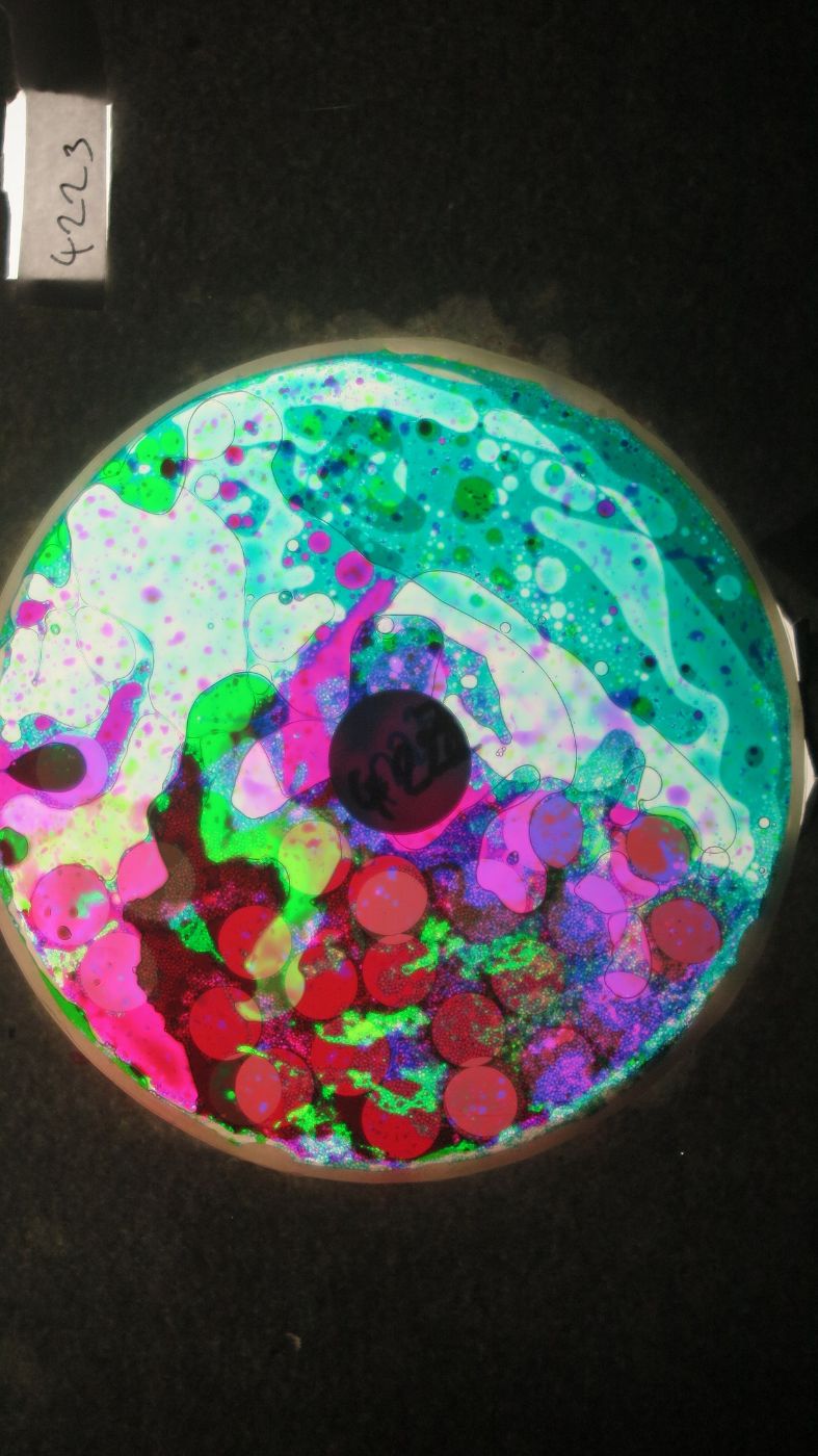 BV4223 bubble vision oil wheel